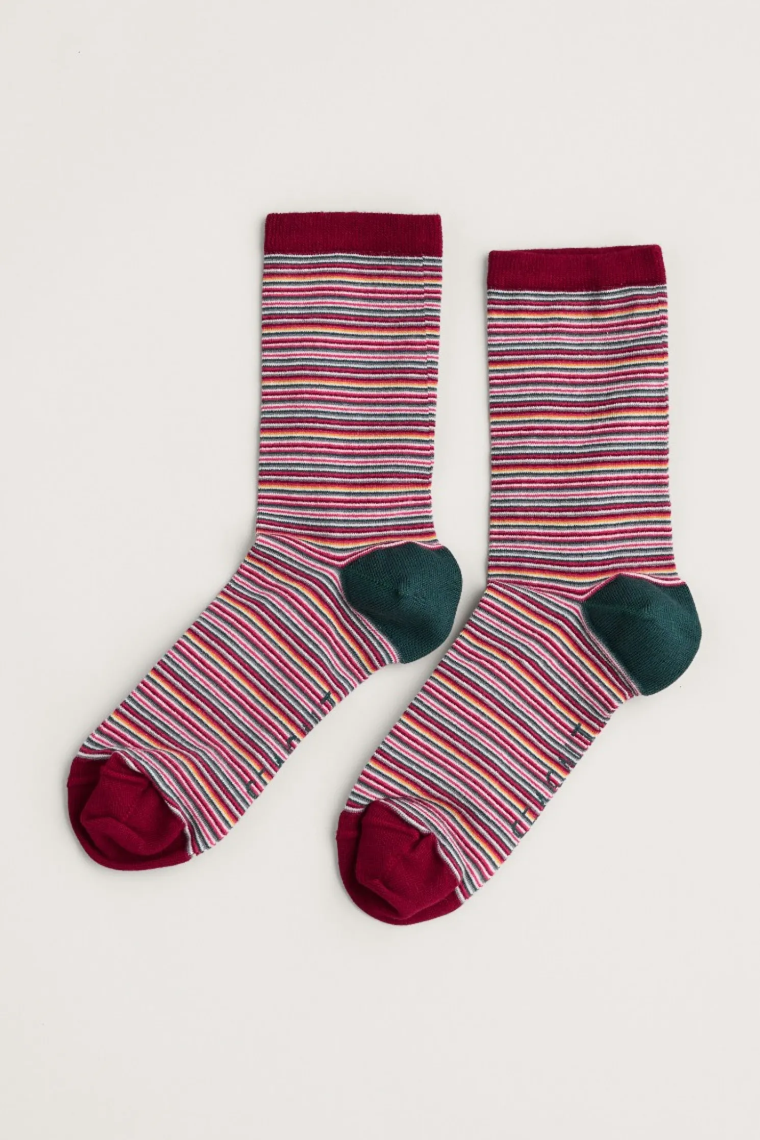 Women's Everyday Socks
