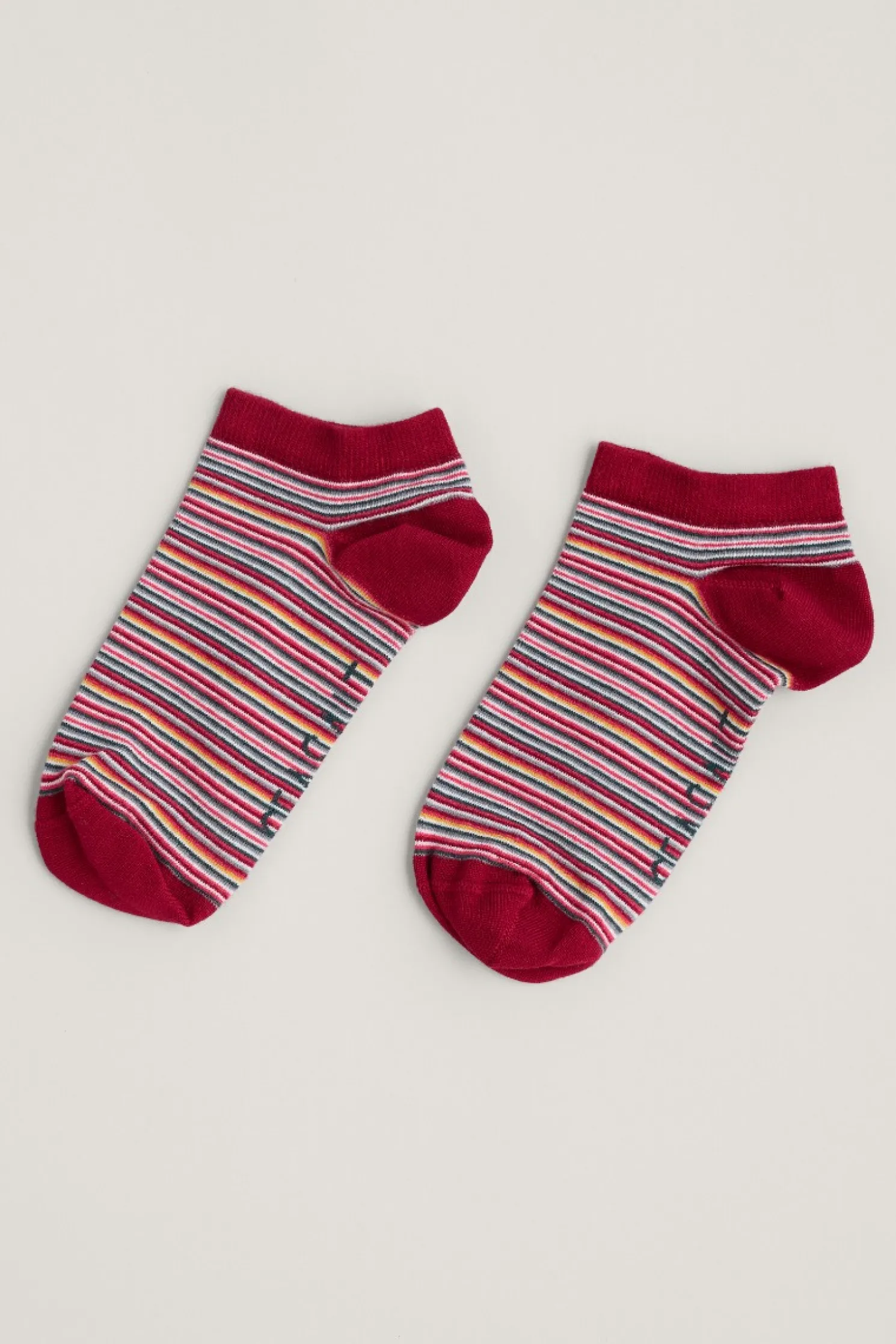 Women's Everyday Trainer Socks